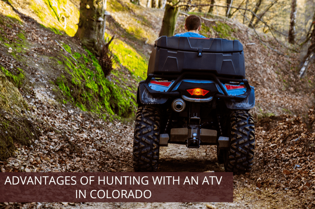 The Mile High Advantage: Why Colorado Stands Out as the Best State in the Country